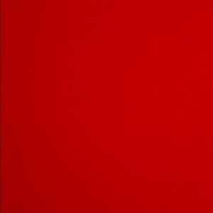 Meet your Posher, Paige